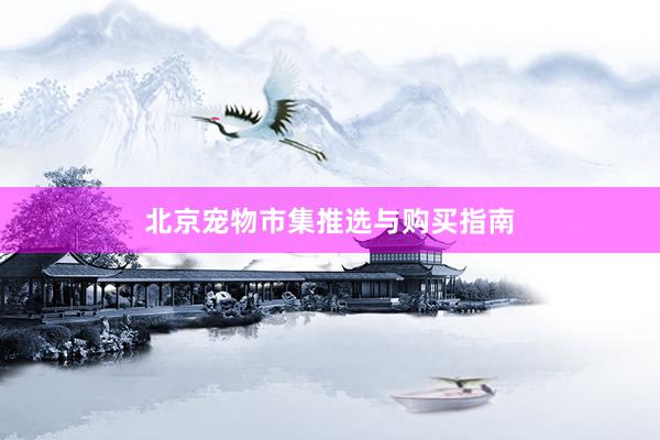 北京宠物市集推选与购买指南
